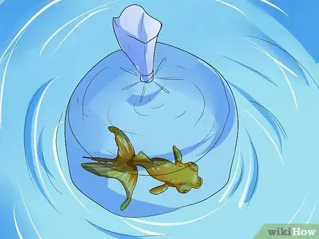 Image titled Make Your Fish Live Longer Step 12
