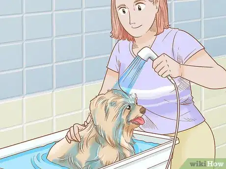 Image titled Groom a Wheaten Terrier Step 15