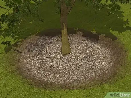 Image titled Protect Trees During Construction Step 3