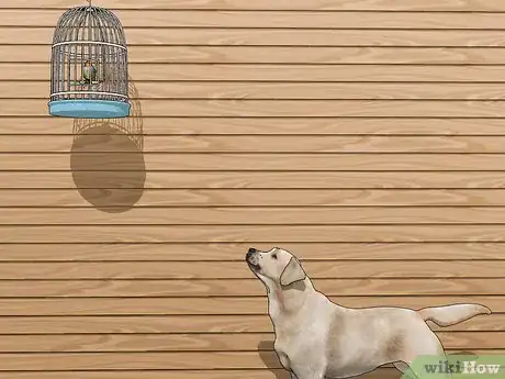 Image titled Look After Pet Birds Step 2