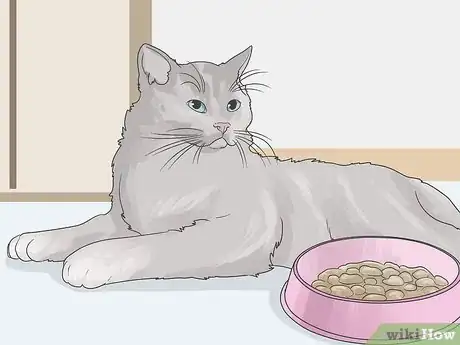 Image titled Help a Cat with Anxiety Step 13