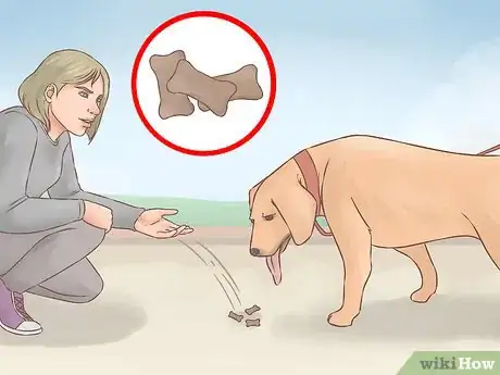 Image titled Become Friends with an Unfriendly Dog Step 8