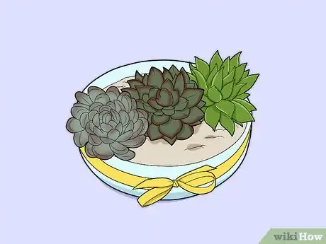 Image titled Make a Succulent Centerpiece Step 7