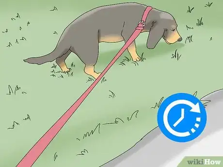 Image titled Walk a Dog on a Leash Step 13