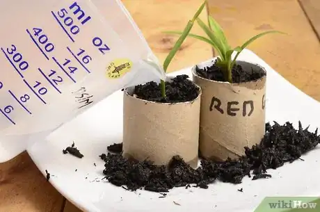 Image titled Start Seedlings in Toilet Paper Rolls Step 9