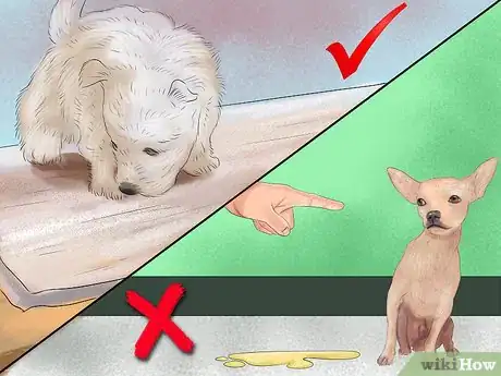 Image titled Keep a Dog or Cat Successfully While Living in an Apartment Step 18