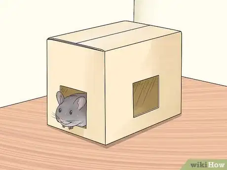 Image titled Choose Hide Houses for a Chinchilla Step 2