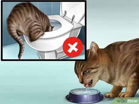 Image titled Stop a Cat from Drinking from Odd Places Step 4