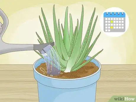 Image titled Why Does Your Aloe Plant Stink Step 7