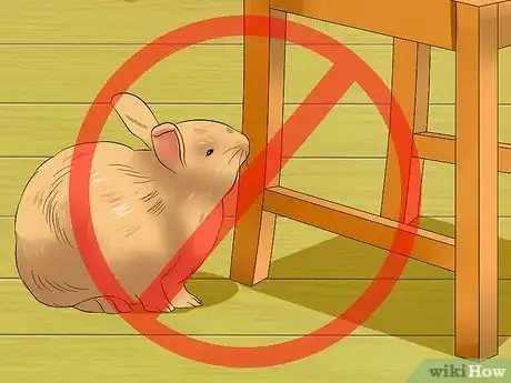 Image titled Care for Satin Angora Rabbits Step 18