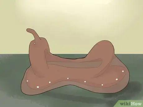 Image titled Rawhide a Saddle Tree Step 6