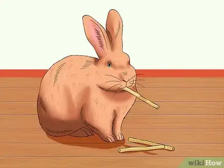 Image titled Care for Thrianta Rabbits Step 11