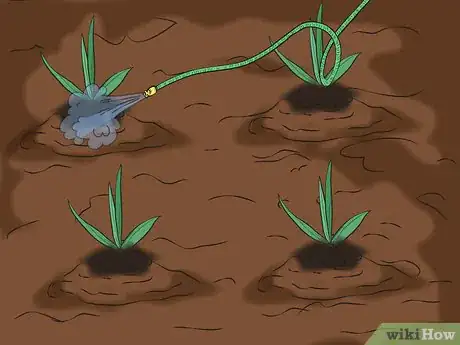 Image titled Divide Bearded Irises Step 8