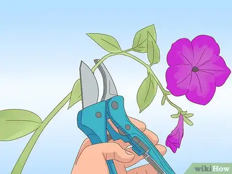 Image titled Prune Petunias Step 5