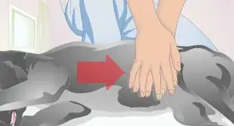 Perform CPR on a Dog