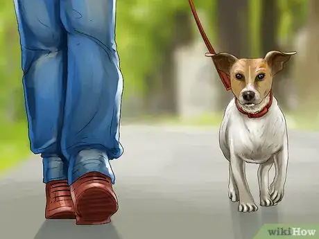 Image titled Give Your Small Dog Enough Exercise Step 5