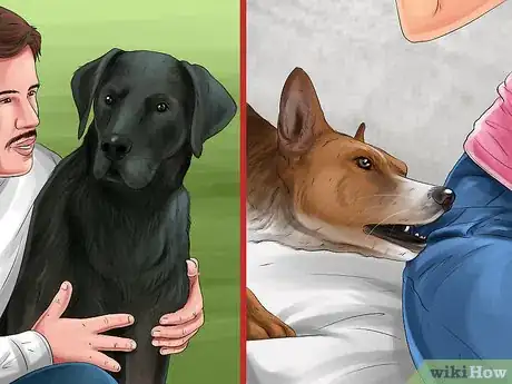 Image titled Help an Abused Dog Step 8