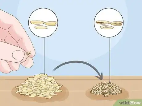 Image titled Control Pests in Rice Step 8