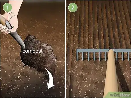 Image titled Grow Endive Step 3