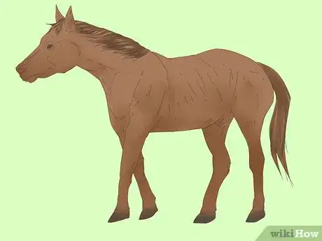 Image titled Measure for a Horse Blanket Step 2