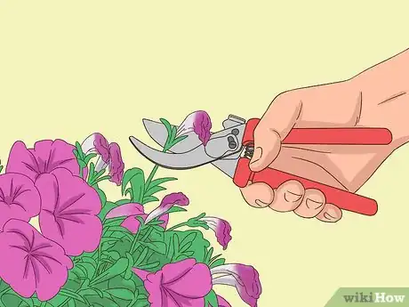 Image titled Prune Petunias Step 4