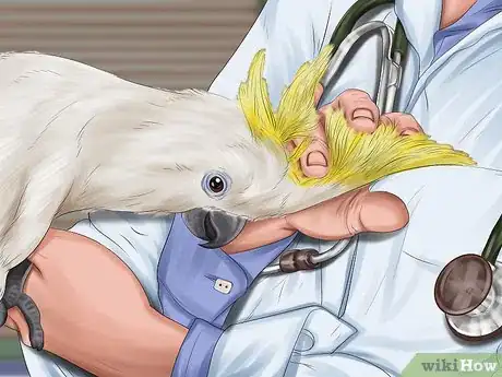 Image titled Pack and Move Your Bird Step 1