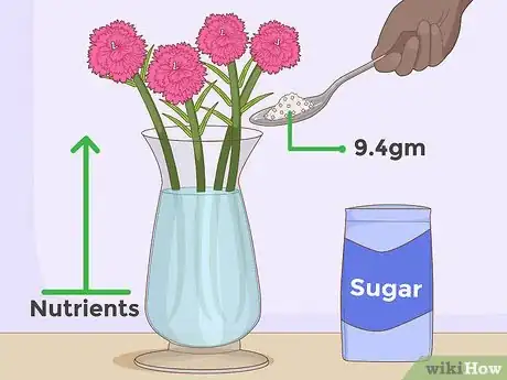 Image titled Water Carnations Step 10