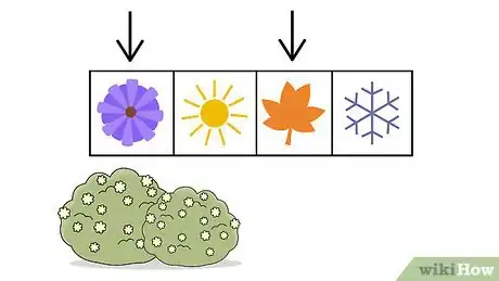 Image titled Plant Viburnum Step 5