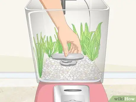 Image titled Make a Gumball Machine Fish Tank Step 21
