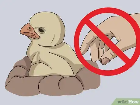 Image titled Monitor Nestboxes Step 5