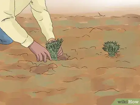 Image titled Plant Landscape Grasses Step 14