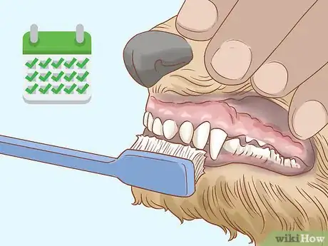 Image titled Groom a Wheaten Terrier Step 17