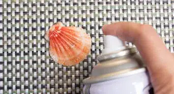 Clean and Polish Seashells