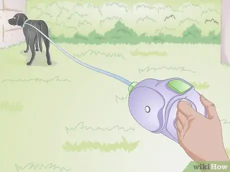 Image titled Choose a Dog Leash Step 6
