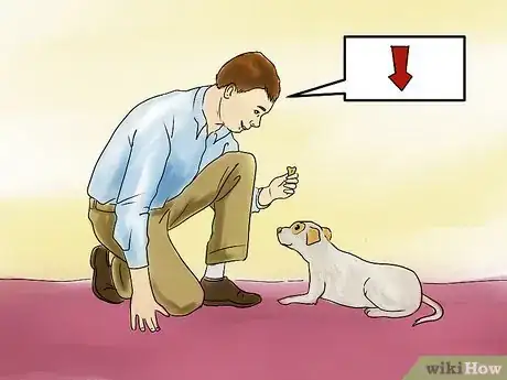 Image titled Teach a Small Dog to Lie Down on Command Step 2