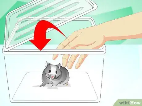Image titled Create a Habitat for a Hamster Step 7