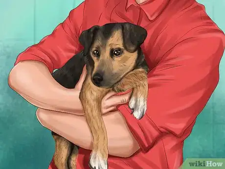 Image titled Choose a Dog Adoption Agency Step 13