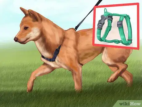Image titled Be Prepared for Walking Your Dog Step 9
