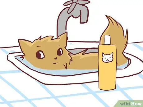 Image titled Bathe a British Shorthair Step 8