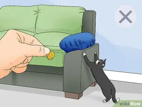 Image titled Fix Clinginess in Cats Step 2