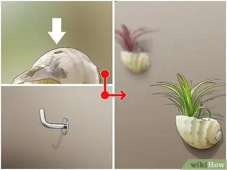 Image titled Decorate with Air Plants Step 2