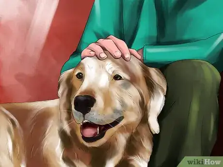 Image titled Housebreak a Dog with Positive Reinforcement Step 3