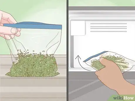 Image titled Harvest Tarragon Step 8