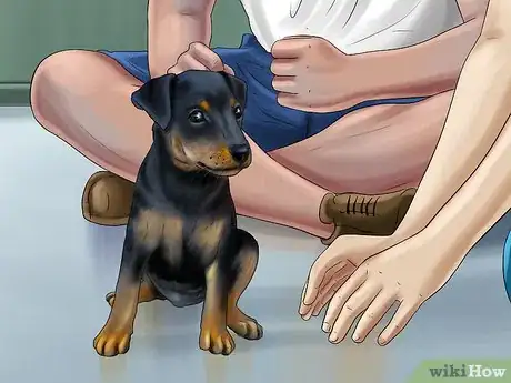 Image titled Help Shelter Dogs Step 11