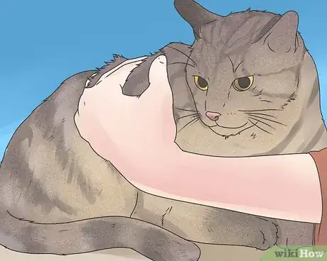 Image titled Diagnose a Cat Cough Step 18