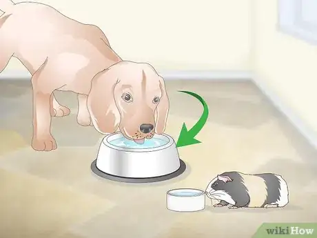 Image titled Improve the Quality of Your Pet's Drinking Water Step 2