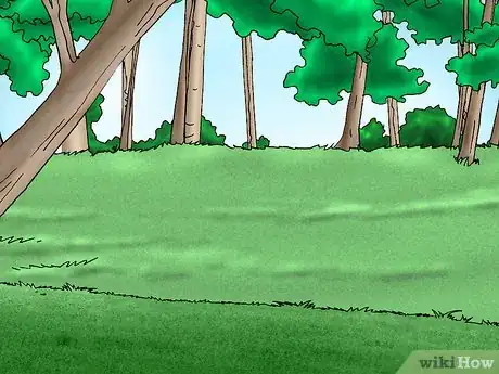 Image titled Grow Bacopa Plants Step 8