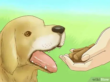 Image titled Train Your Dog With Silent Signals Step 2