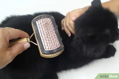 Image titled Make a Homemade Cat Spa Step 8