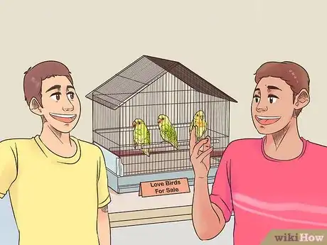 Image titled Treat Lovebirds with Psittacine Beak and Feather Disease Step 15